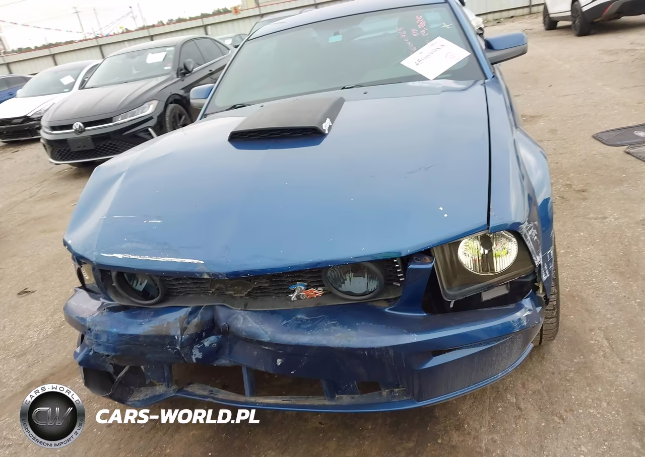 2007 Ford Mustang Gt Deluxe-Gt Premium VIN:1ZVFT82H575345098 - 12