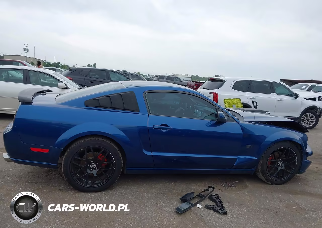2007 Ford Mustang Gt Deluxe-Gt Premium VIN:1ZVFT82H575345098 - 13