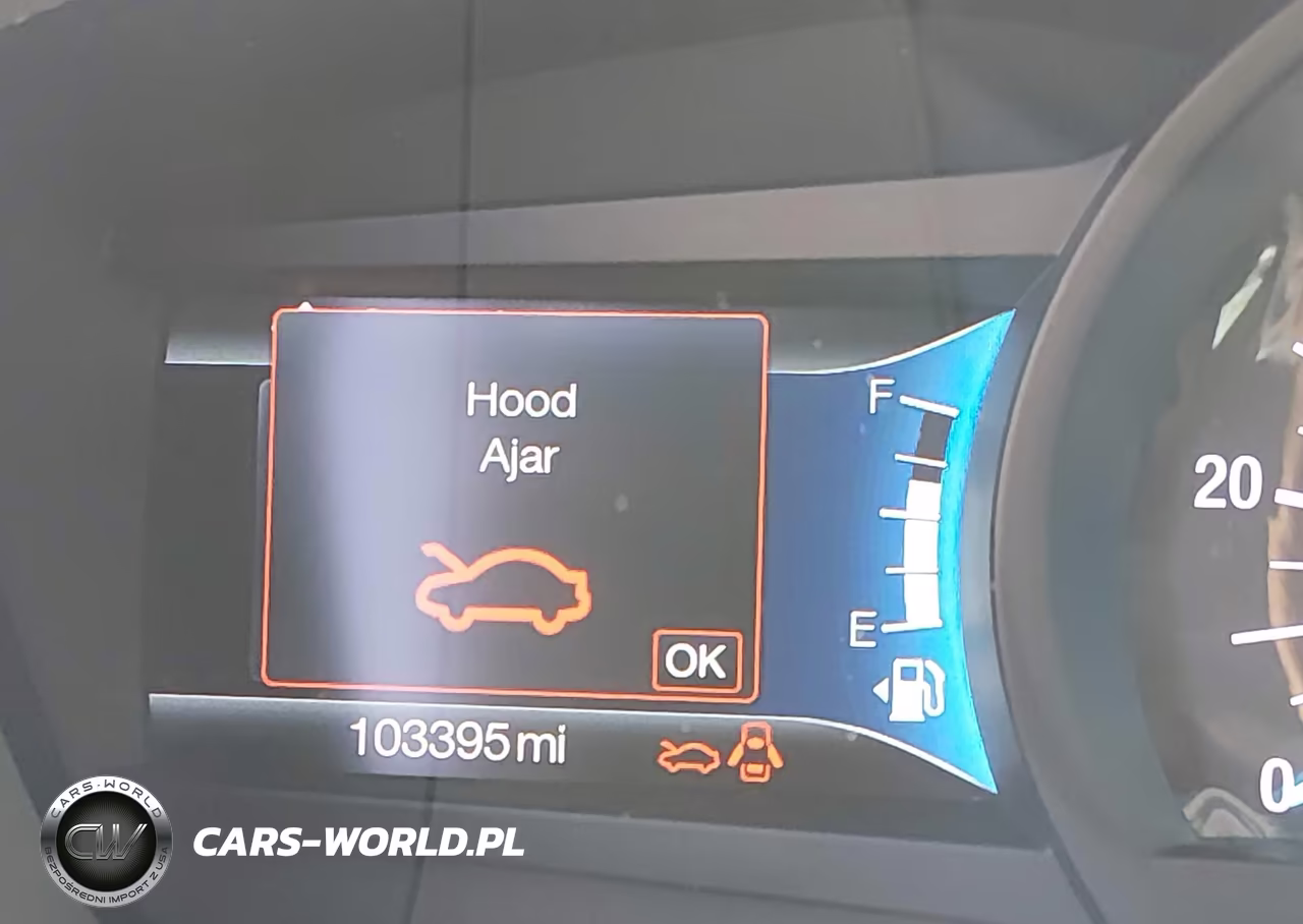 2019 Ford Fusion Energi Titanium VIN:3FA6P0SU5KR236187 - 15