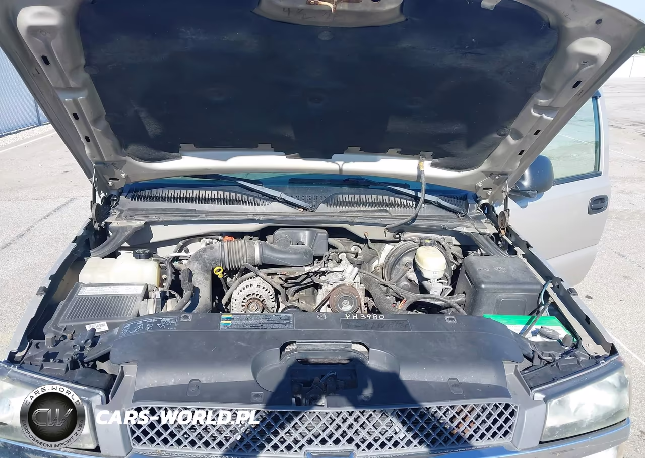 2005 Chevrolet Silverado 1500 Work Truck VIN:1GCEC14X55Z293777 - 10
