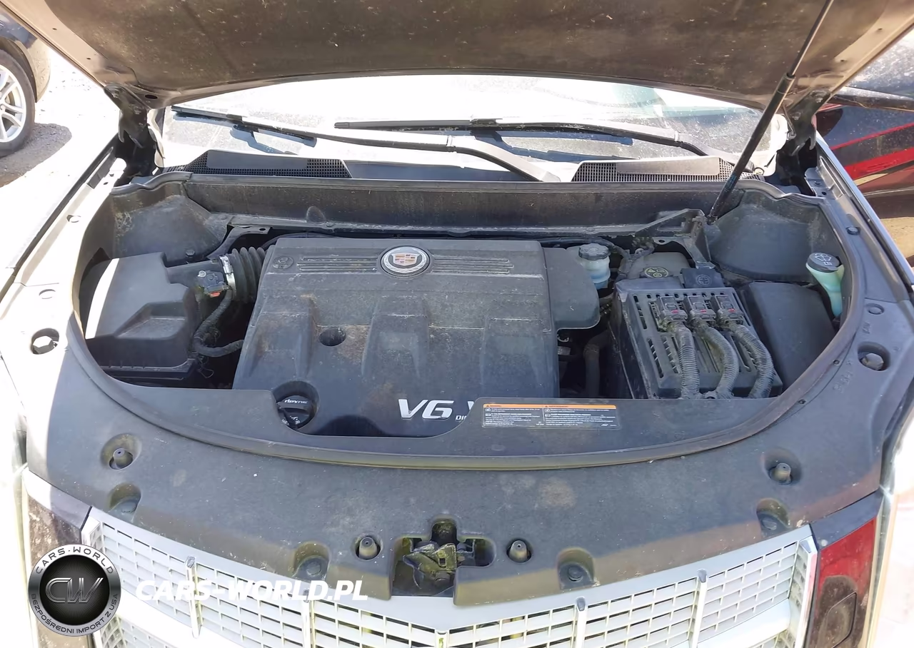 2013 Cadillac Srx Premium Collection VIN:3GYFNJE34DS573562 - 10