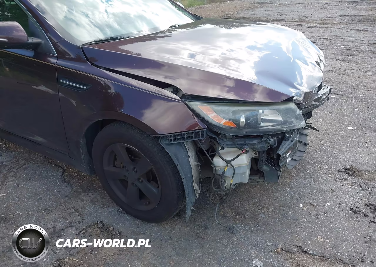 2015 Kia Optima Lx VIN:5XXGM4A75FG462552 - 15