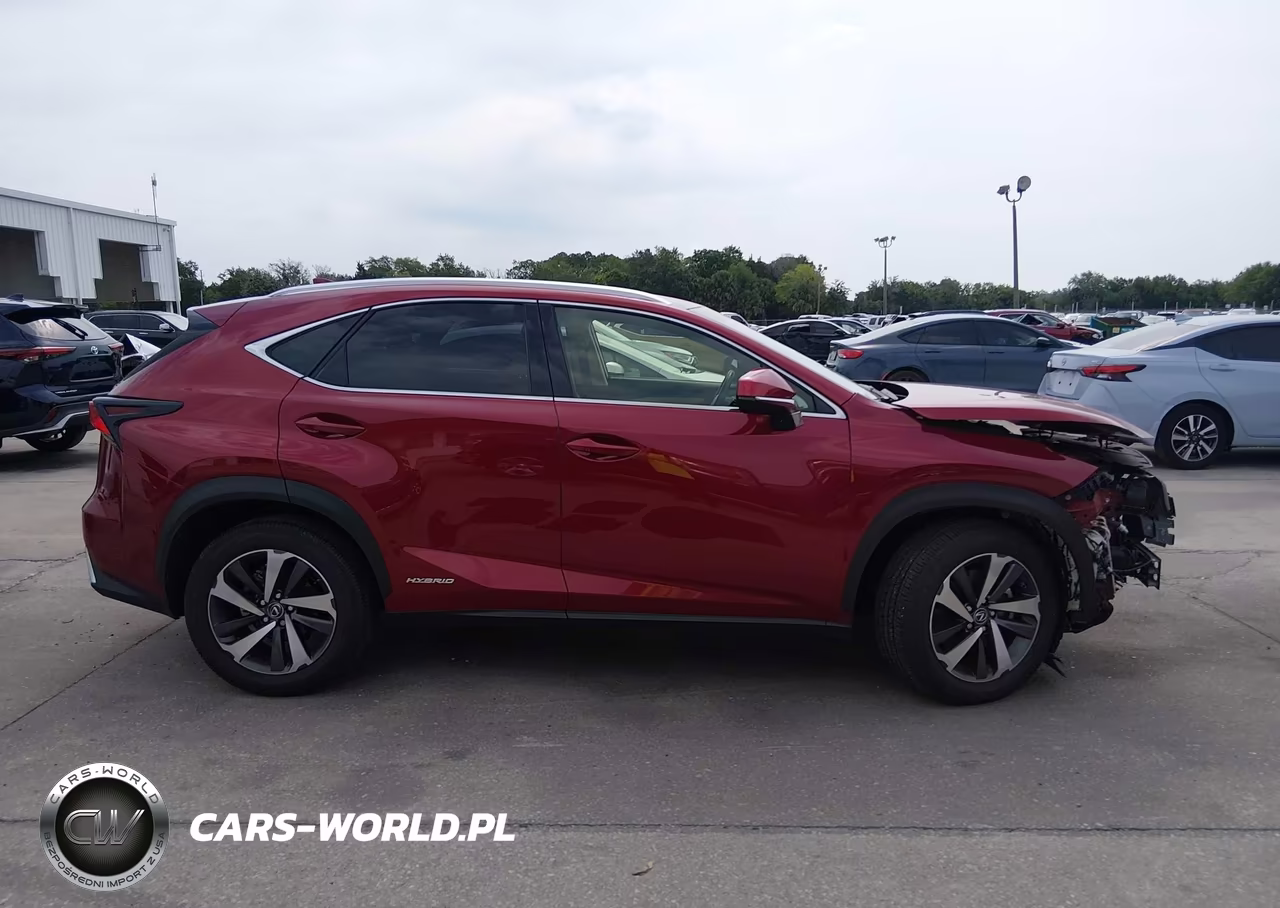 2019 Lexus Nx 300H VIN:JTJBJRBZ3K2118828 - 14