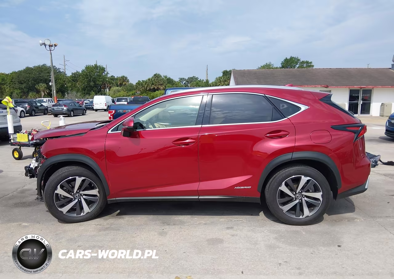 2019 Lexus Nx 300H VIN:JTJBJRBZ3K2118828 - 15