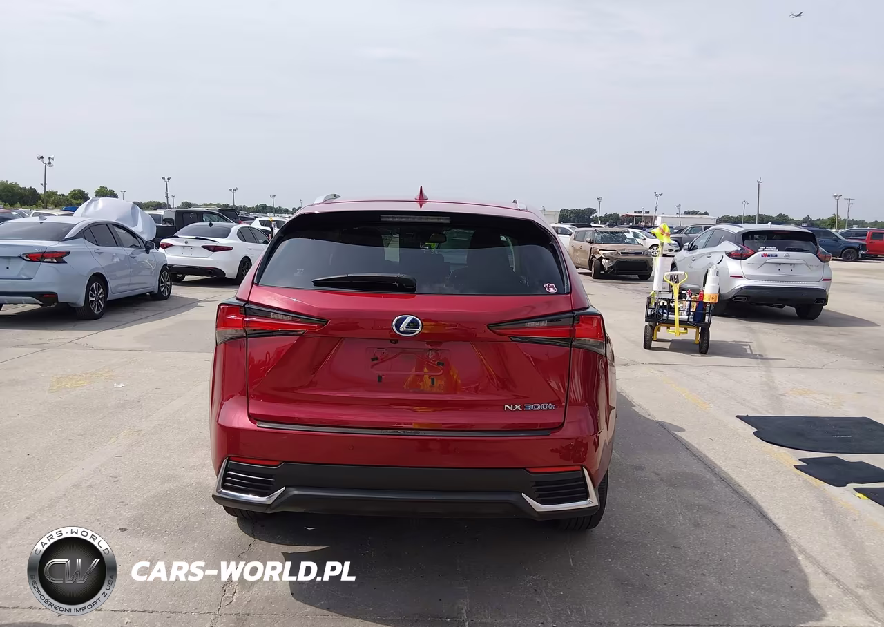 2019 Lexus Nx 300H VIN:JTJBJRBZ3K2118828 - 17
