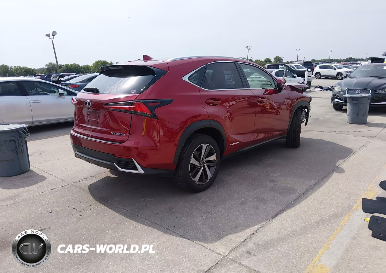2019 Lexus Nx 300H VIN:JTJBJRBZ3K2118828 - 4