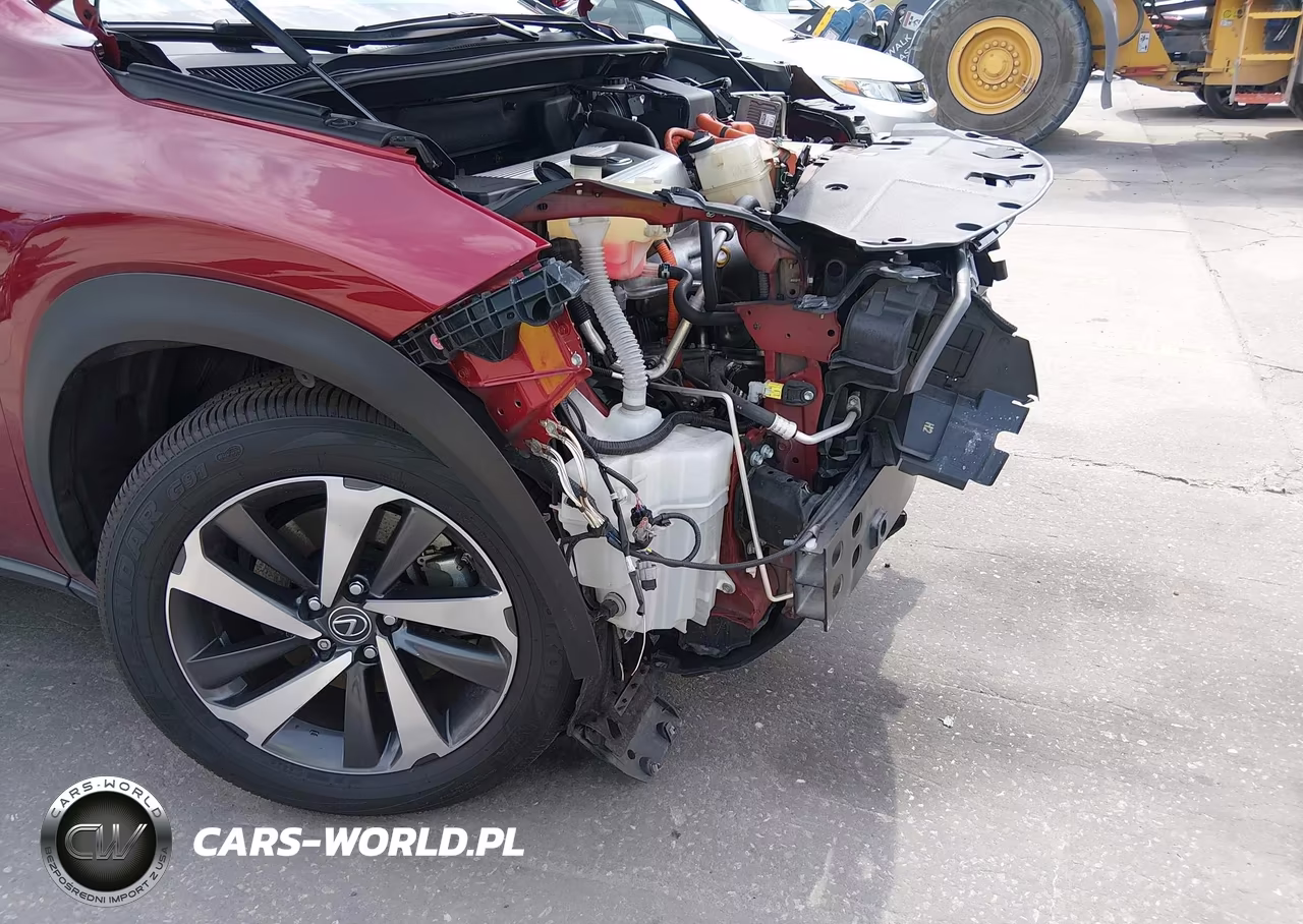 2019 Lexus Nx 300H VIN:JTJBJRBZ3K2118828 - 6