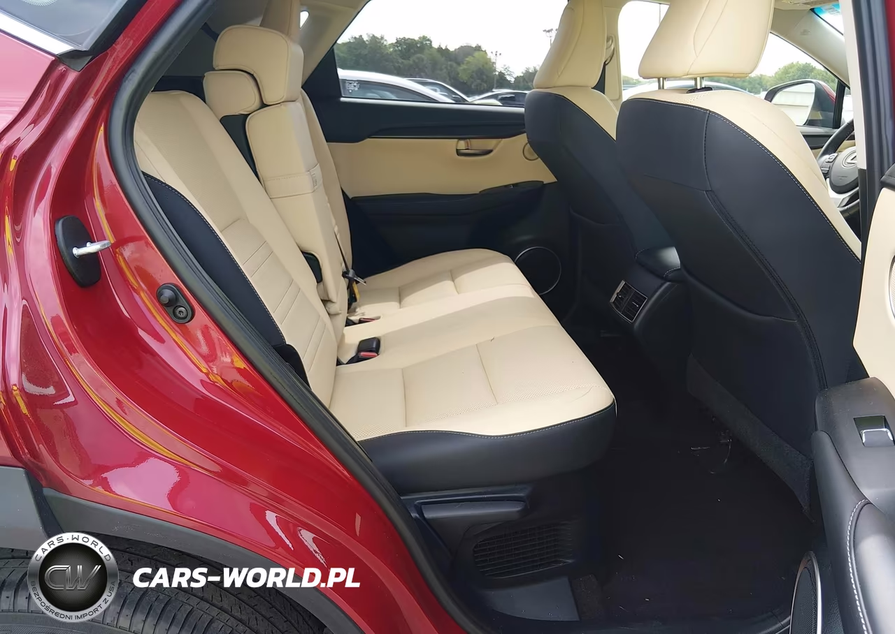 2019 Lexus Nx 300H VIN:JTJBJRBZ3K2118828 - 8