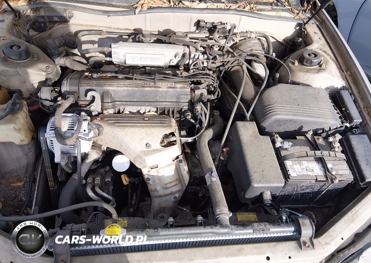 1996 Toyota Camry Dx-Le-Xle VIN:4T1BG12K7TU801817 - 10