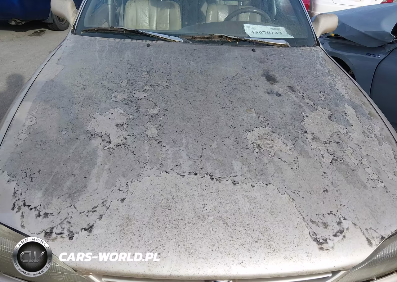1996 Toyota Camry Dx-Le-Xle VIN:4T1BG12K7TU801817 - 6