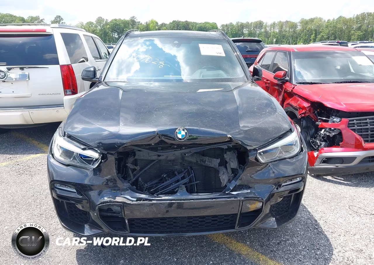2021 BMW X5 Sdrive40I VIN:5UXCR4C03M9G95213 - 12