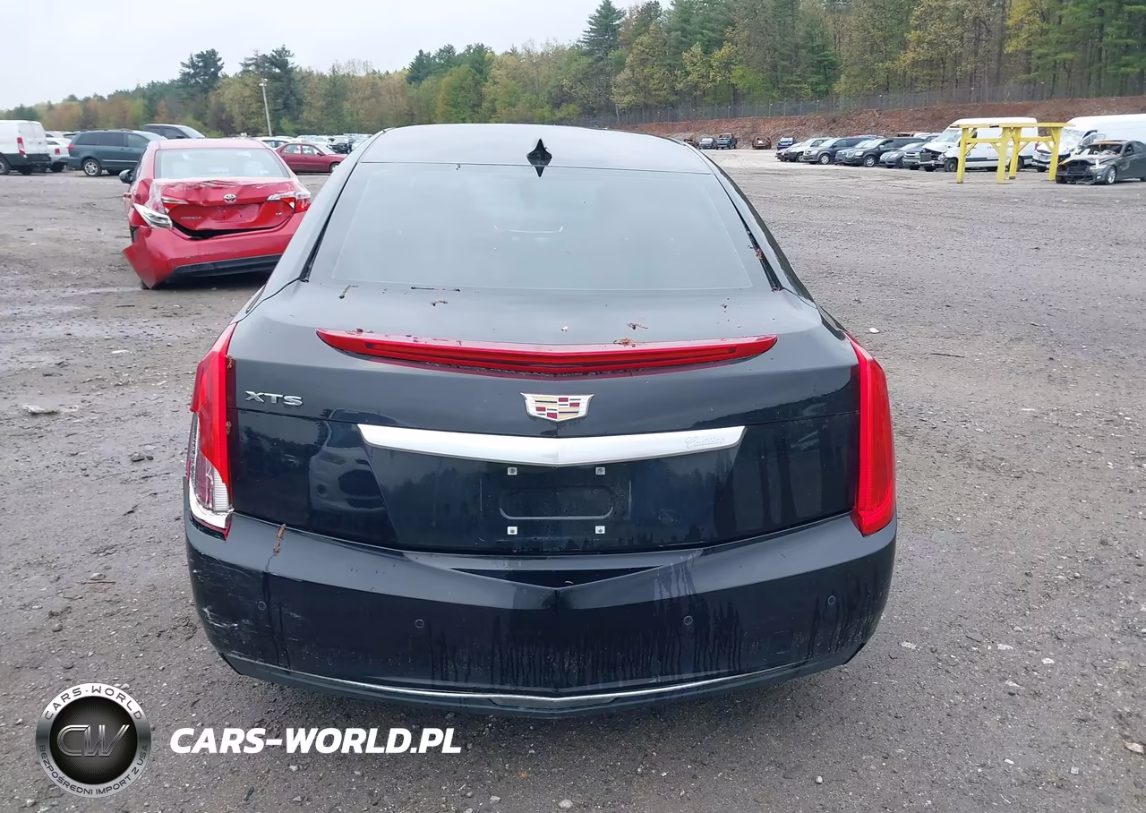 2017 Cadillac Xts W20 Livery Package VIN:2G61U5S3XH9192061 - 16