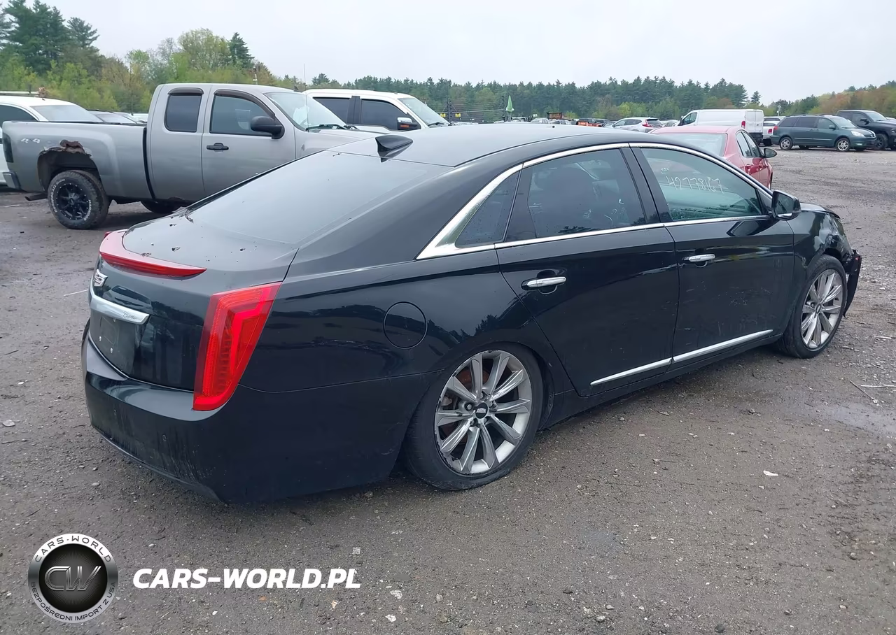 2017 Cadillac Xts W20 Livery Package VIN:2G61U5S3XH9192061 - 4