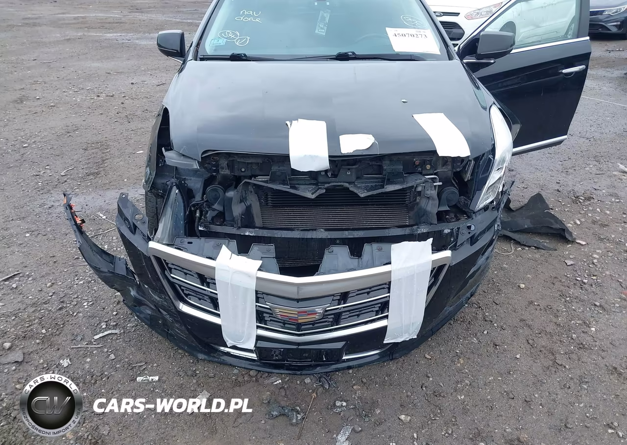 2017 Cadillac Xts W20 Livery Package VIN:2G61U5S3XH9192061 - 6