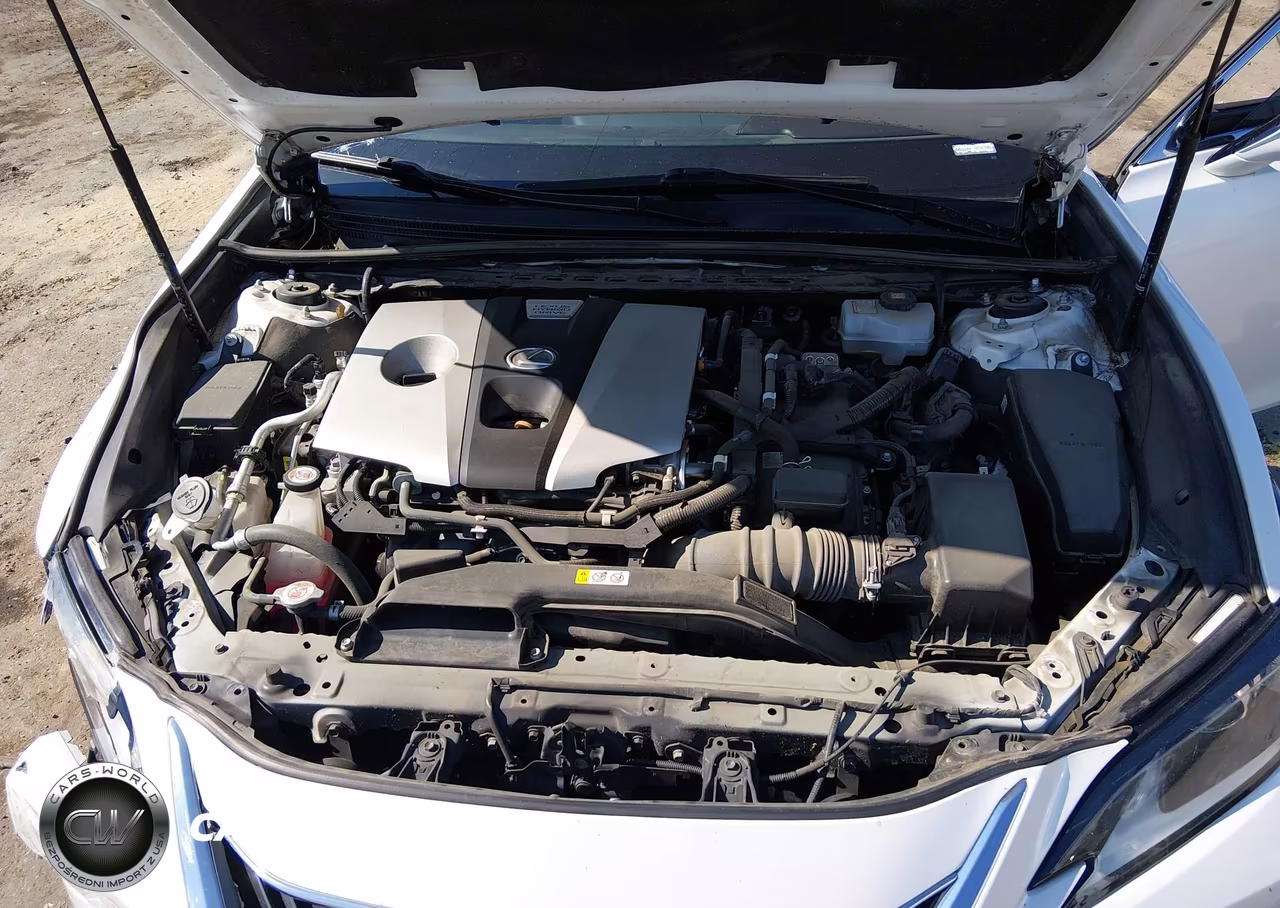 2019 Lexus Es 300H VIN:58AB21B19KU004367 - 10
