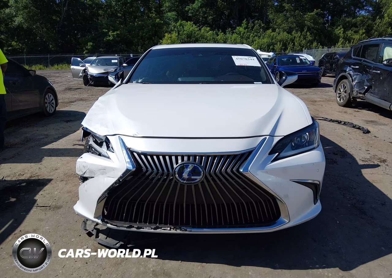 2019 Lexus Es 300H VIN:58AB21B19KU004367 - 13