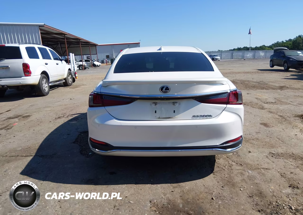 2019 Lexus Es 300H VIN:58AB21B19KU004367 - 17