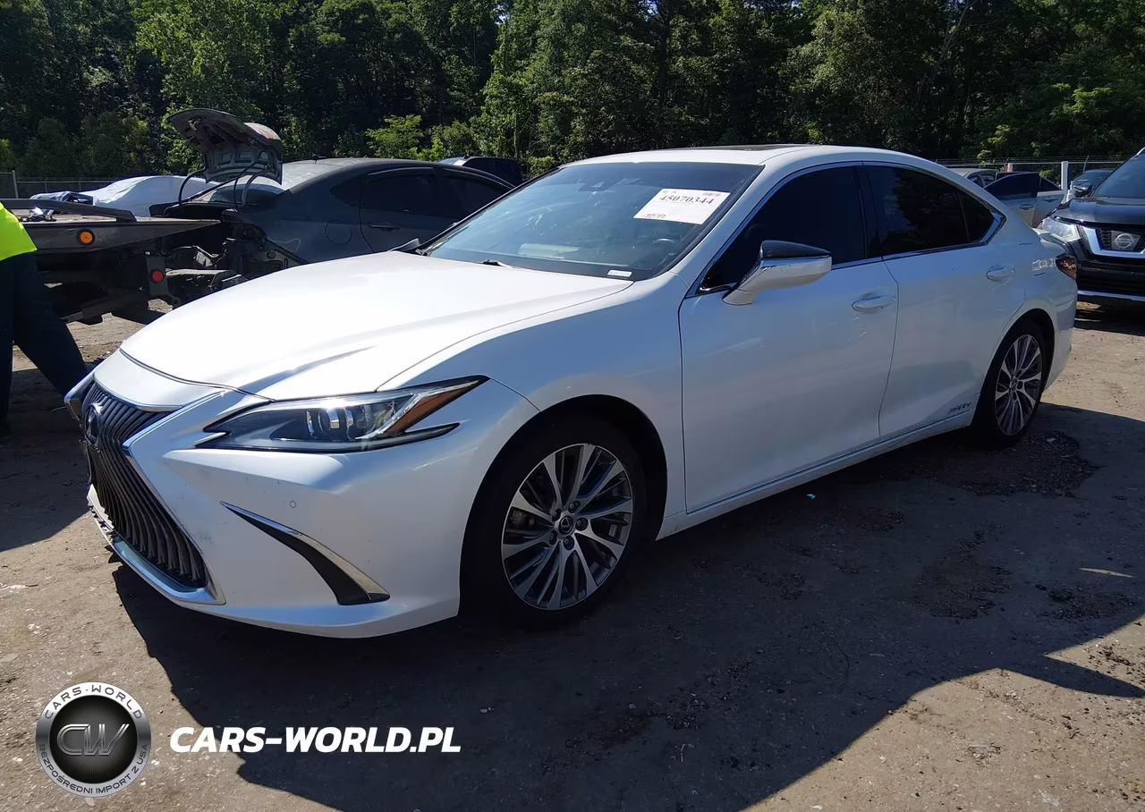 2019 Lexus Es 300H VIN:58AB21B19KU004367 - 2