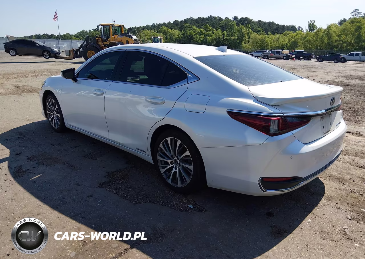2019 Lexus Es 300H VIN:58AB21B19KU004367 - 3