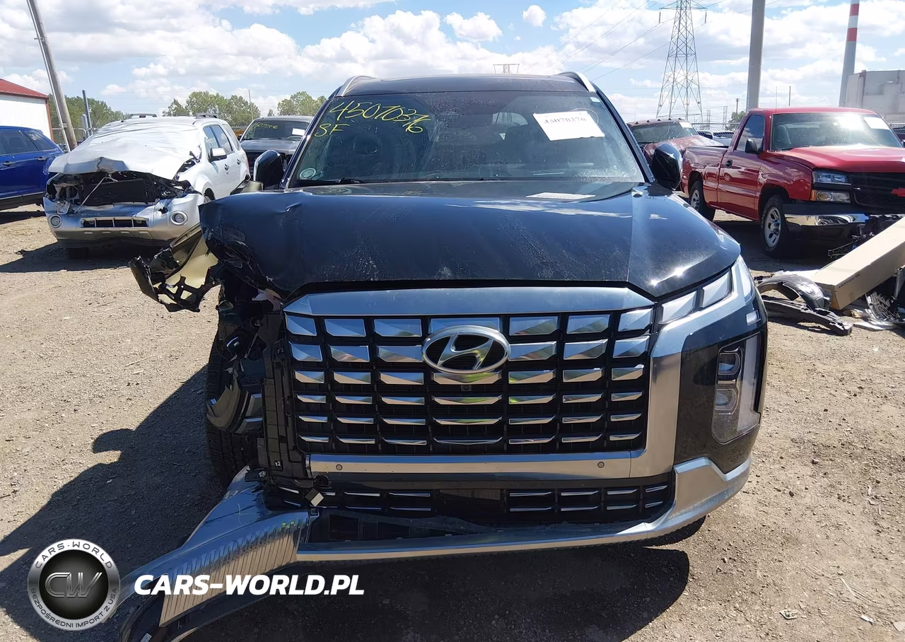 2024 Hyundai Palisade Calligraphy VIN:KM8R7DGE6RU679950 - 12