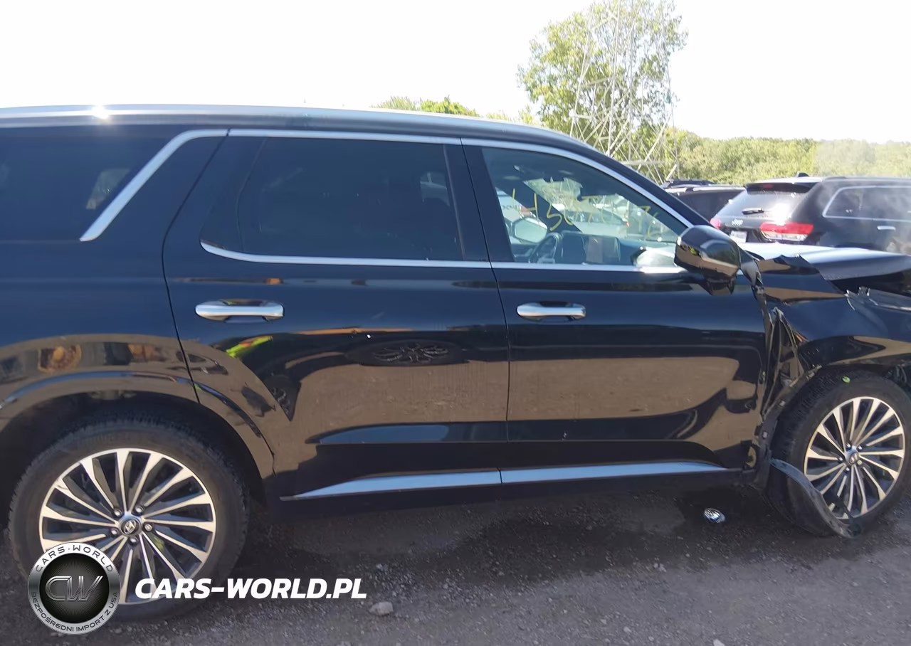 2024 Hyundai Palisade Calligraphy VIN:KM8R7DGE6RU679950 - 13