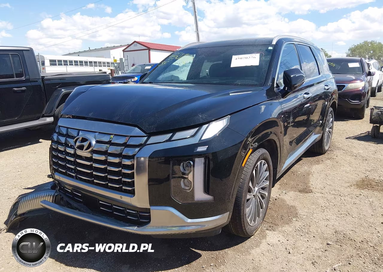 2024 Hyundai Palisade Calligraphy VIN:KM8R7DGE6RU679950 - 2