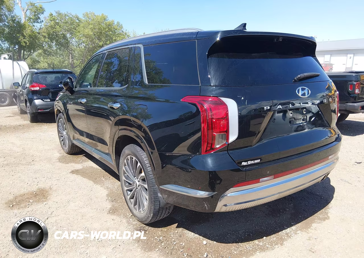 2024 Hyundai Palisade Calligraphy VIN:KM8R7DGE6RU679950 - 3