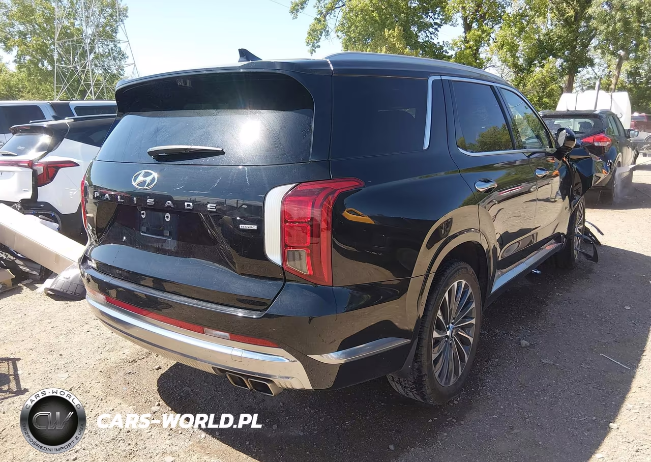 2024 Hyundai Palisade Calligraphy VIN:KM8R7DGE6RU679950 - 4