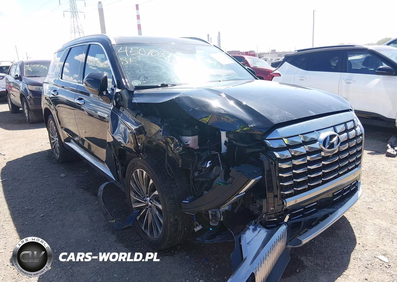 2024 Hyundai Palisade Calligraphy VIN:KM8R7DGE6RU679950 - 6