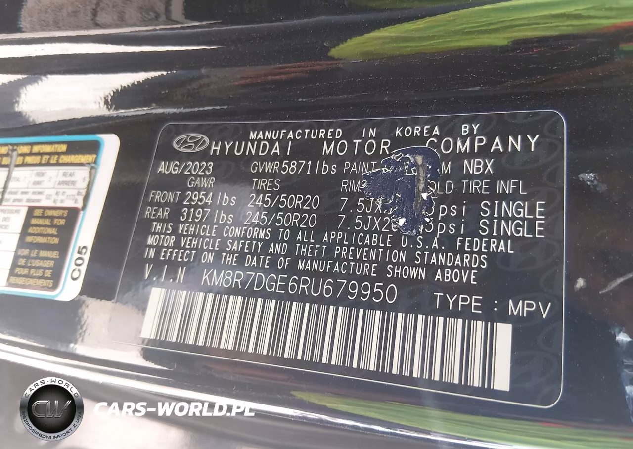 2024 Hyundai Palisade Calligraphy VIN:KM8R7DGE6RU679950 - 9