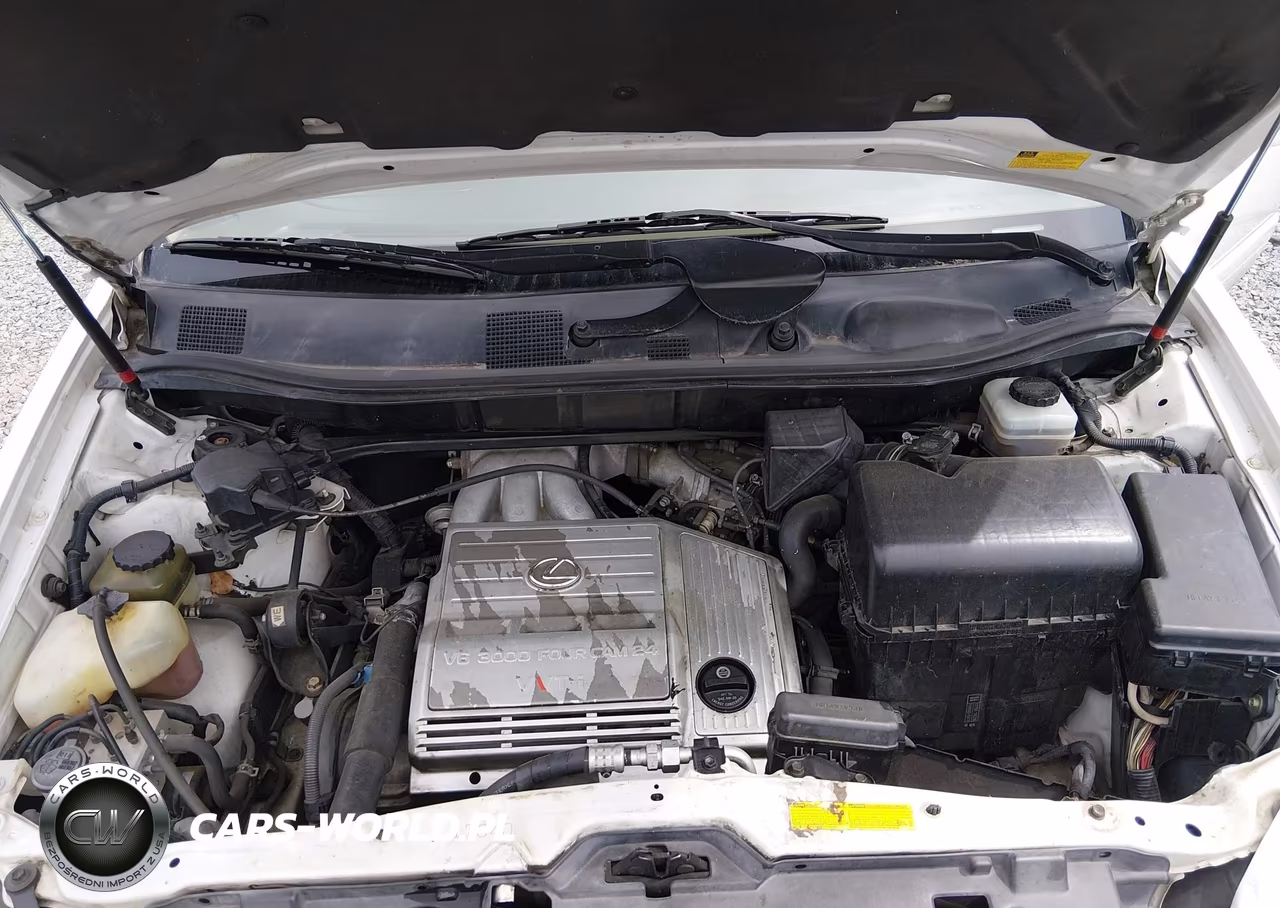 2002 Lexus Rx 300 VIN:JTJGF10U220136460 - 10