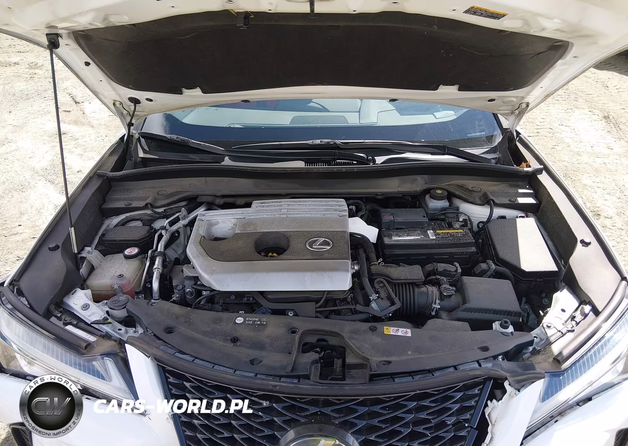2019 Lexus Ux 200 F Sport VIN:JTHY3JBH5K2000438 - 10