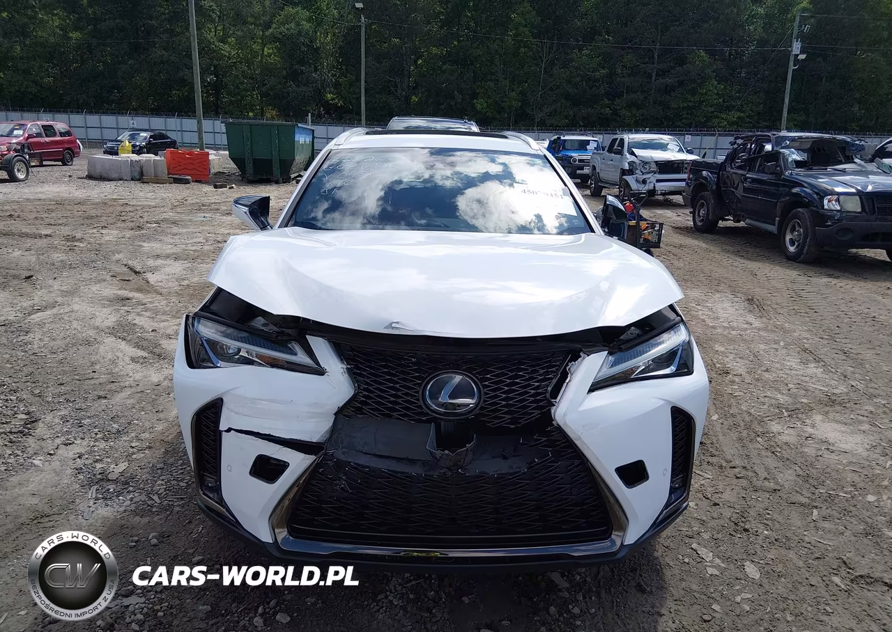 2019 Lexus Ux 200 F Sport VIN:JTHY3JBH5K2000438 - 12
