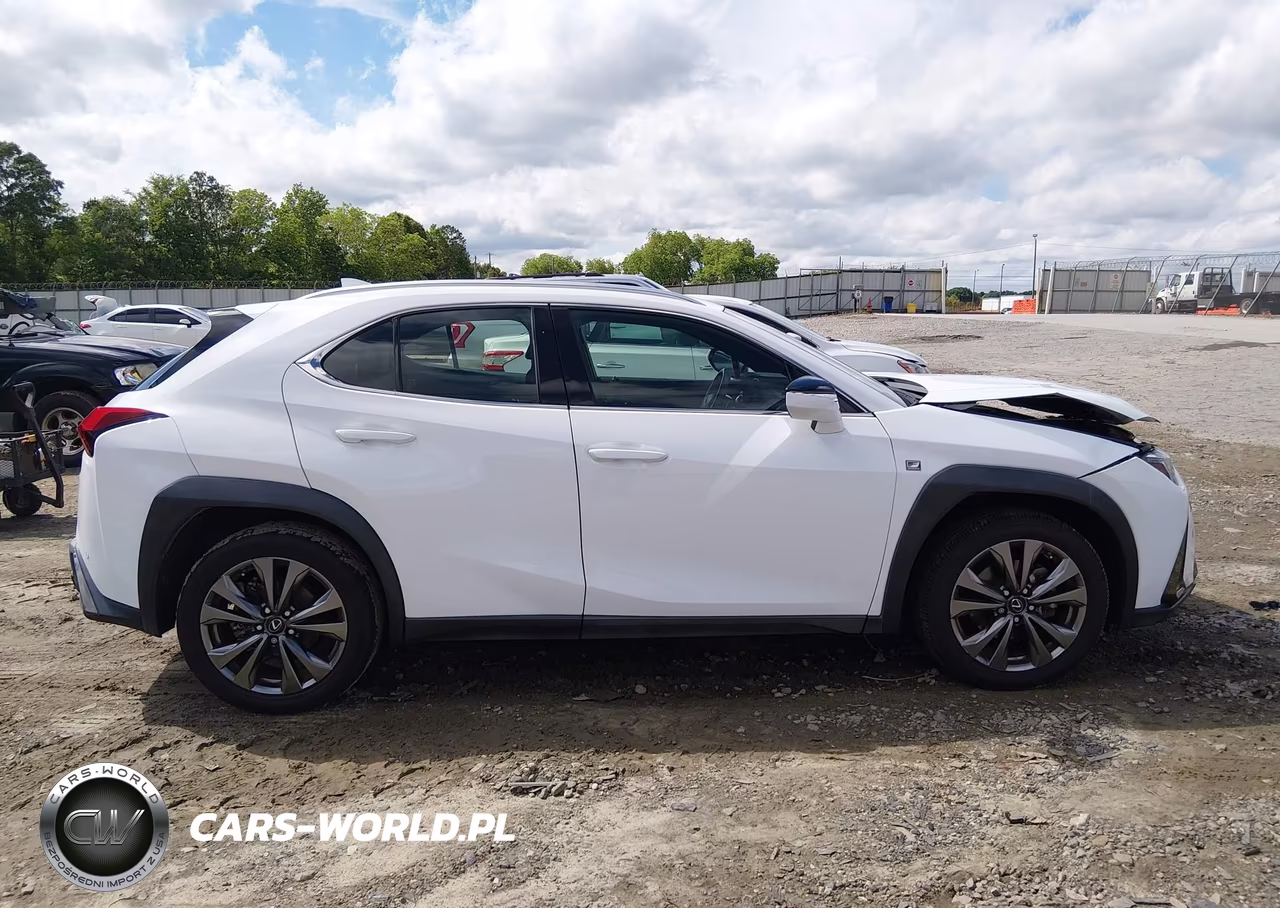 2019 Lexus Ux 200 F Sport VIN:JTHY3JBH5K2000438 - 13