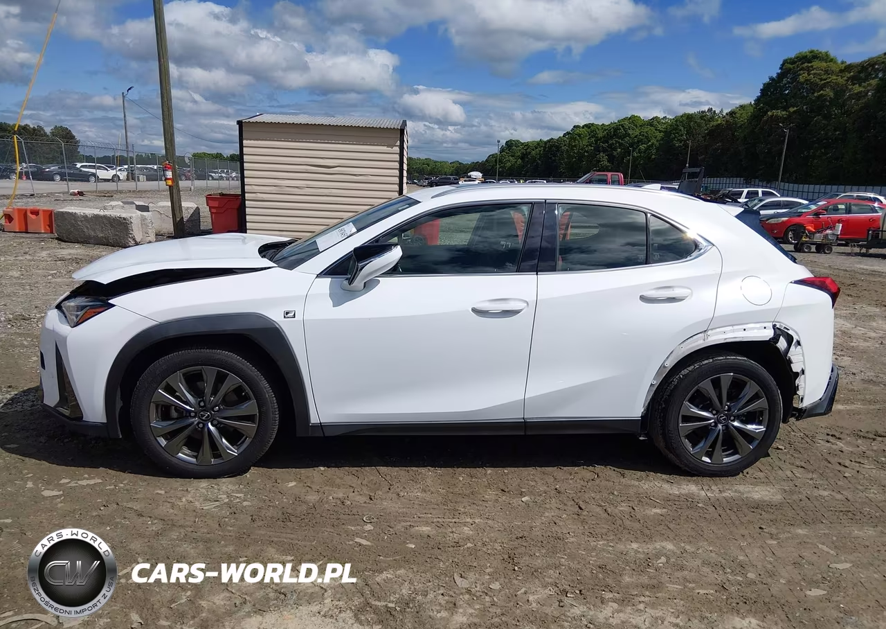2019 Lexus Ux 200 F Sport VIN:JTHY3JBH5K2000438 - 14