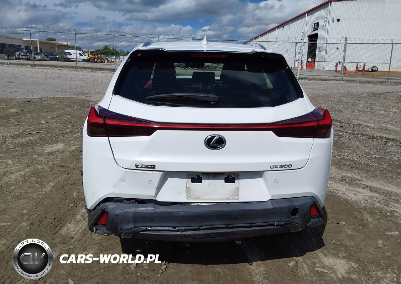 2019 Lexus Ux 200 F Sport VIN:JTHY3JBH5K2000438 - 16