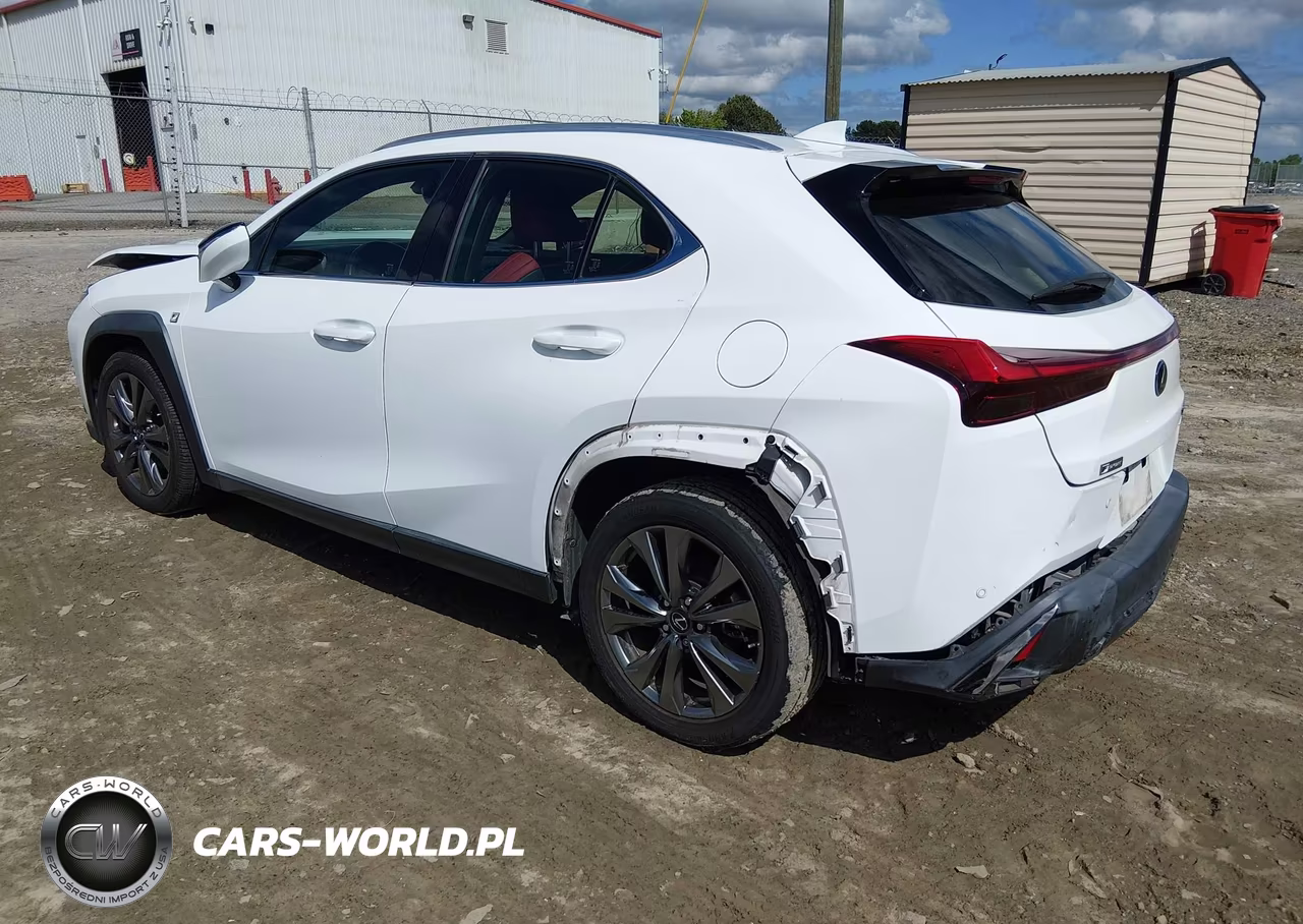 2019 Lexus Ux 200 F Sport VIN:JTHY3JBH5K2000438 - 3