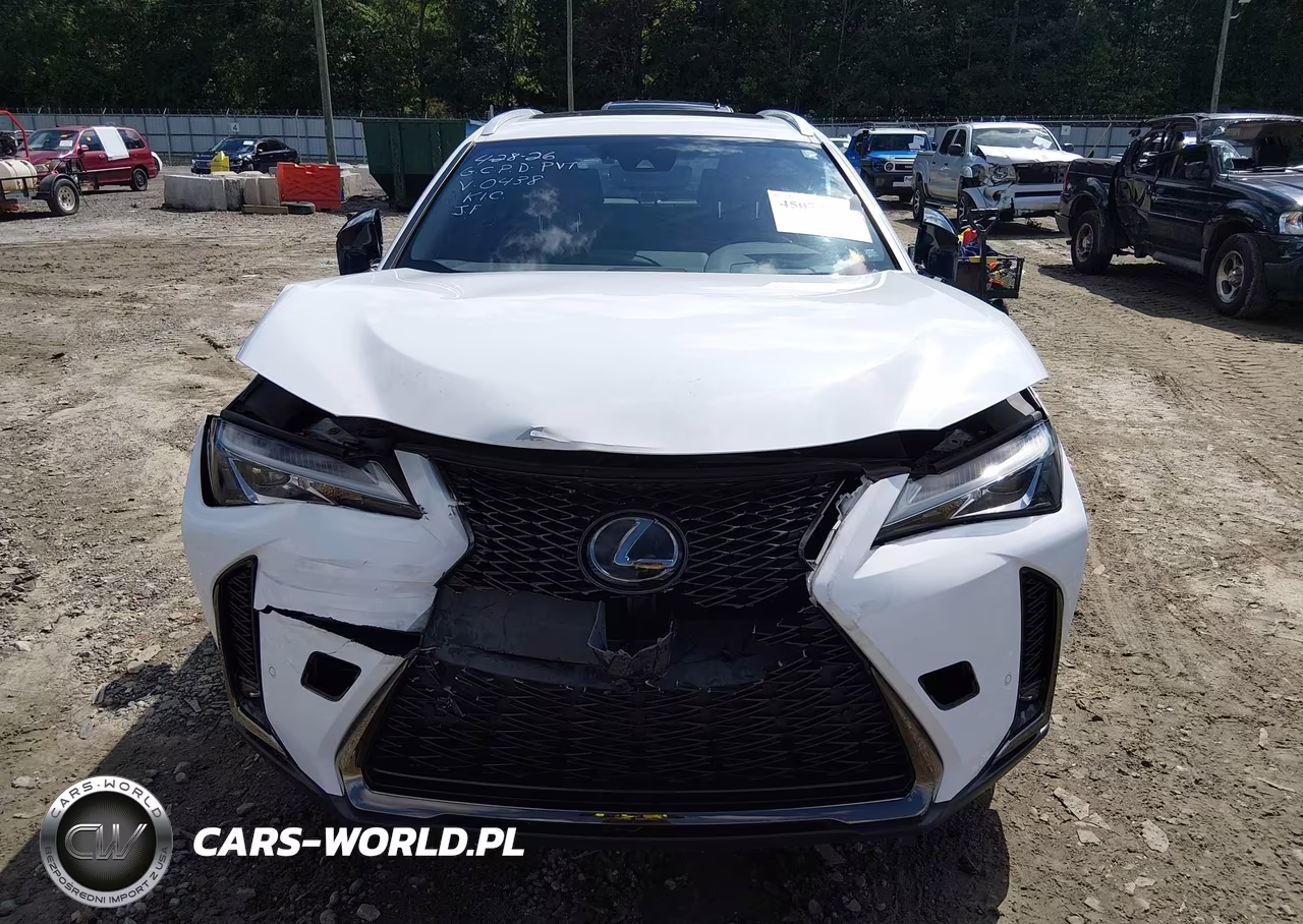 2019 Lexus Ux 200 F Sport VIN:JTHY3JBH5K2000438 - 6