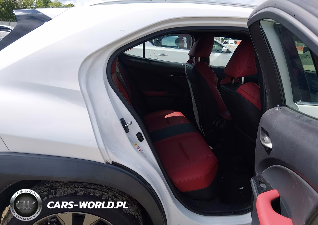 2019 Lexus Ux 200 F Sport VIN:JTHY3JBH5K2000438 - 8