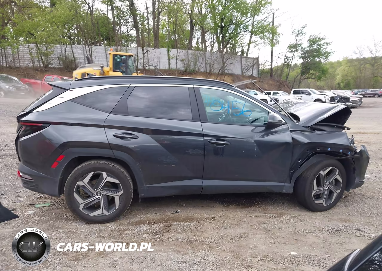 2024 Hyundai Tucson Sel VIN:5NMJFCDE0RH353880 - 13