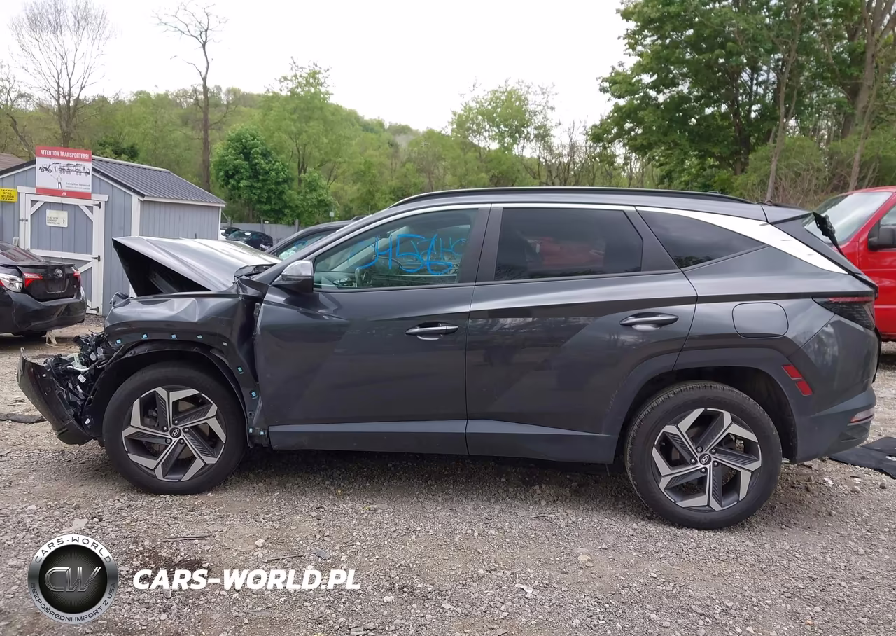 2024 Hyundai Tucson Sel VIN:5NMJFCDE0RH353880 - 14