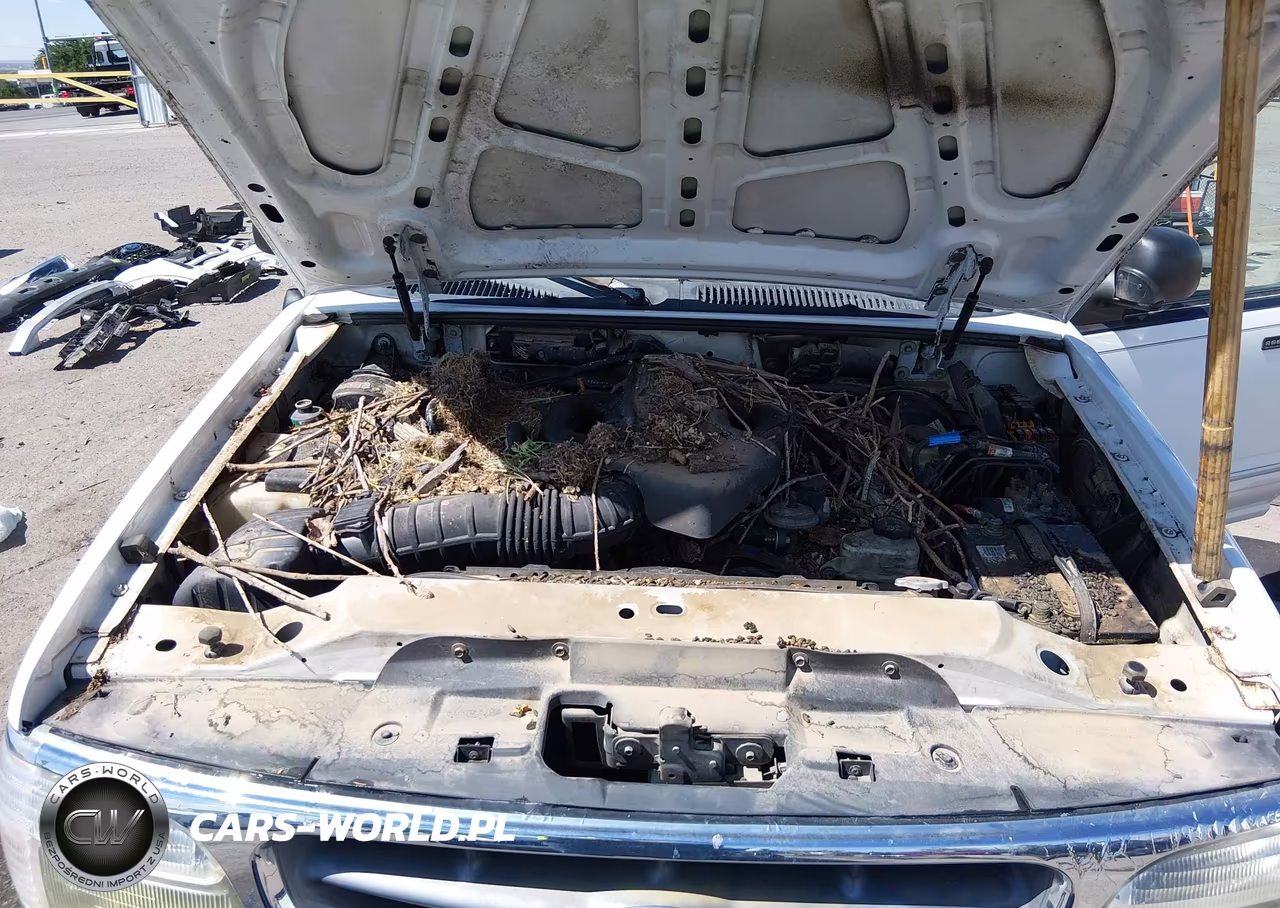 1999 Ford Explorer Eddie Bauer-Limited-Xlt VIN:1FMDU34E6XZA45555 - 10
