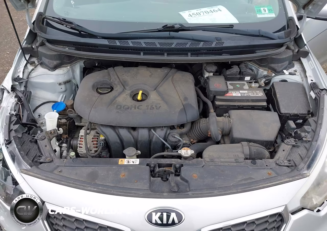 2014 Kia Forte Lx VIN:KNAFK4A66E5215078 - 10