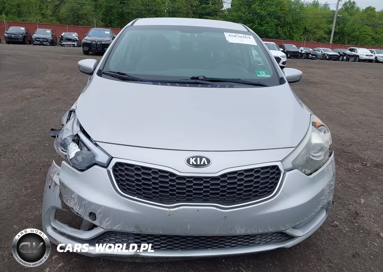 2014 Kia Forte Lx VIN:KNAFK4A66E5215078 - 12