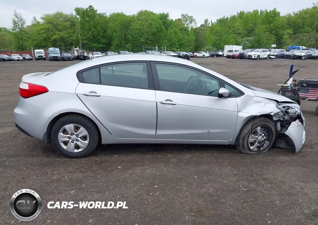 2014 Kia Forte Lx VIN:KNAFK4A66E5215078 - 13