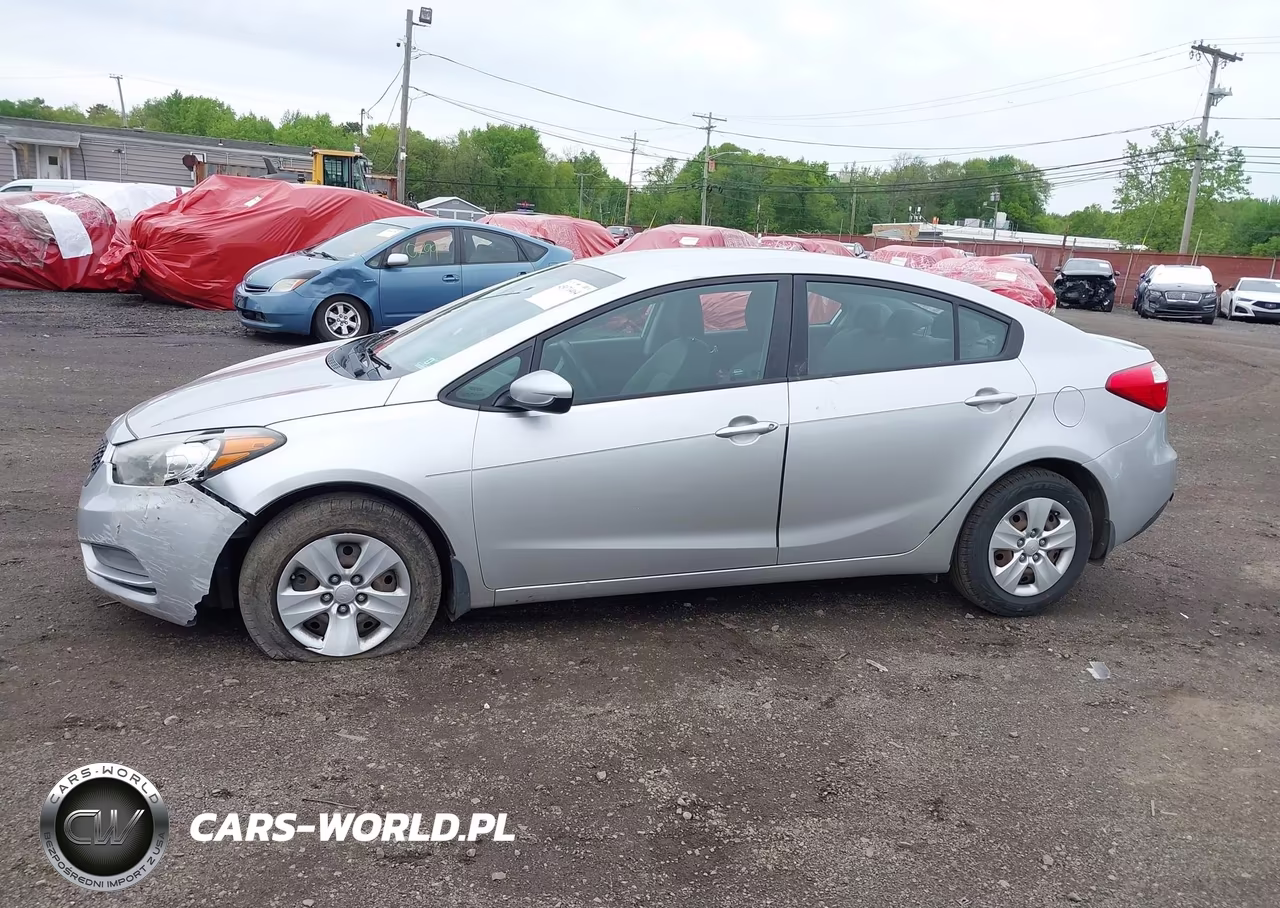 2014 Kia Forte Lx VIN:KNAFK4A66E5215078 - 14