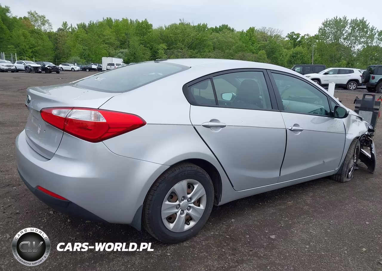 2014 Kia Forte Lx VIN:KNAFK4A66E5215078 - 17