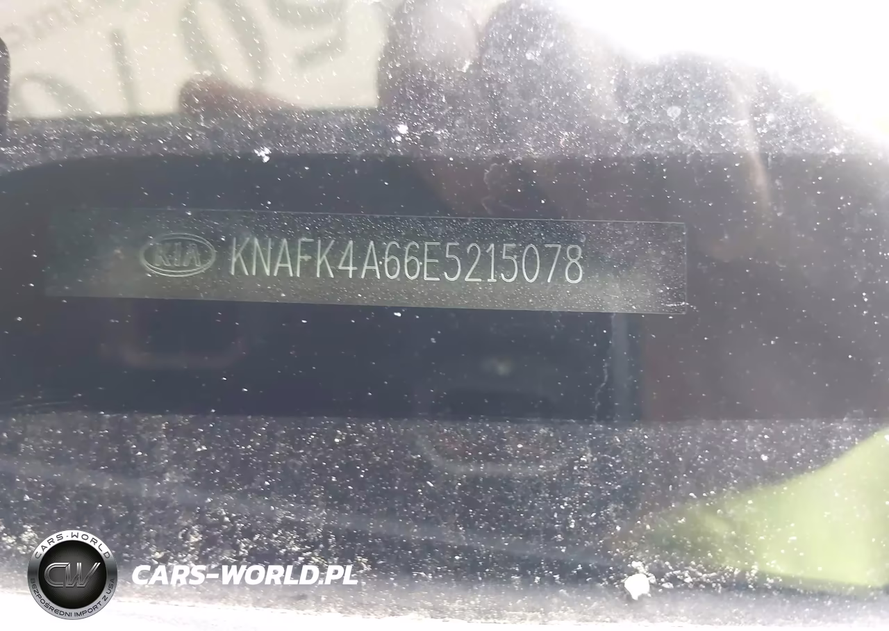 2014 Kia Forte Lx VIN:KNAFK4A66E5215078 - 9