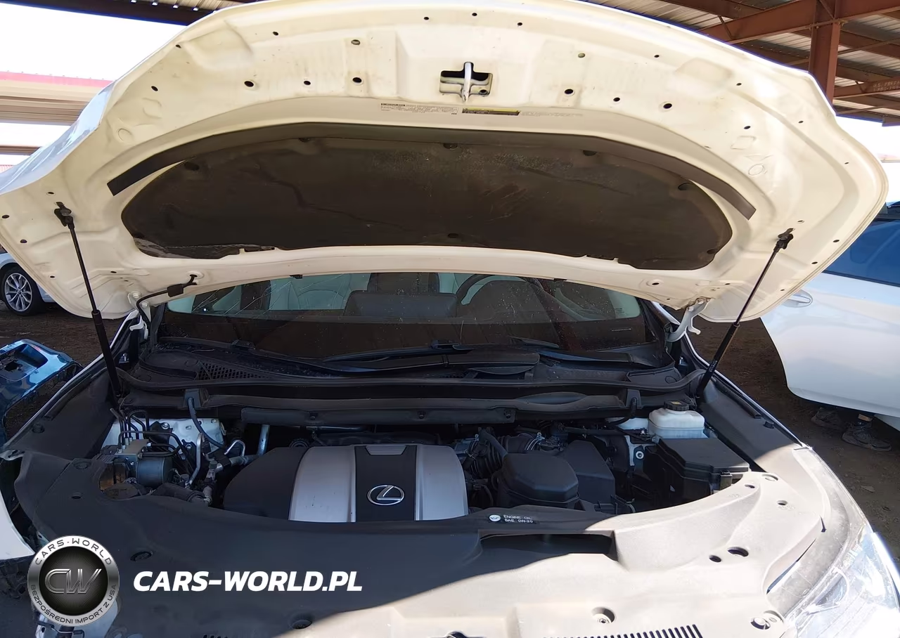 2019 Lexus Rx 350 Base VIN:2T2BZMCA9KC204018 - 10
