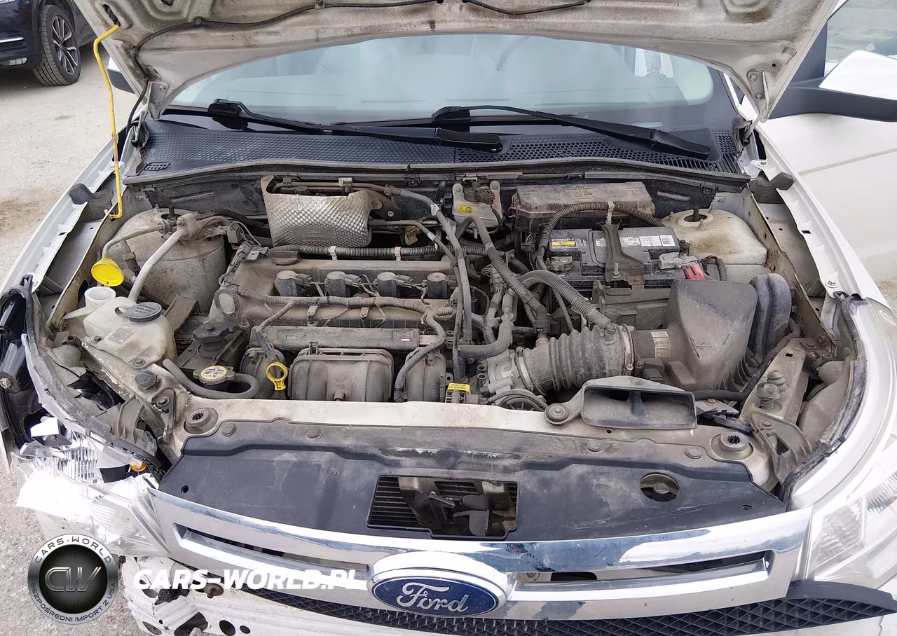 2010 Ford Focus Sel VIN:1FAHP3HN6AW199446 - 10